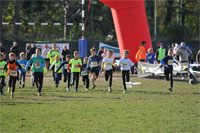Carsocross-0448.jpg