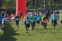 Carsocross-0450.jpg