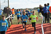 Carsocross-0473.jpg