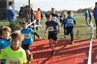Carsocross-0474.jpg