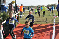 Carsocross-0475.jpg