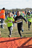 Carsocross-0477.jpg