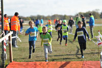 Carsocross-0479.jpg