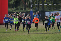 Carsocross-0486.jpg