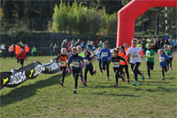 Carsocross-0489.jpg