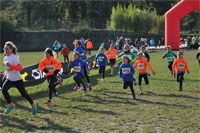 Carsocross-0491.jpg
