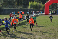 Carsocross-0492.jpg