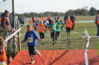 Carsocross-0502.jpg