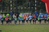 Carsocross-0513.jpg