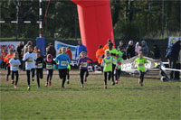 Carsocross-0514.jpg