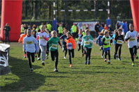 Carsocross-0517.jpg
