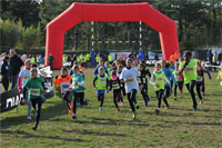 Carsocross-0520.jpg