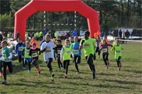 Carsocross-0521.jpg