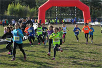 Carsocross-0523.jpg