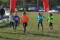 Carsocross-0524.jpg
