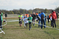 Carsocross-0525.jpg