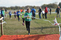 Carsocross-0532.jpg