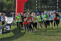 Carsocross-0556.jpg