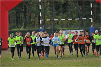 Carsocross-0608.jpg