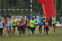 Carsocross-0609.jpg