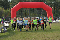Carsocross-0611.jpg