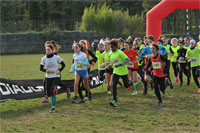 Carsocross-0613.jpg