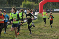 Carsocross-0615.jpg