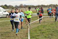 Carsocross-0618.jpg