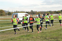 Carsocross-0619.jpg