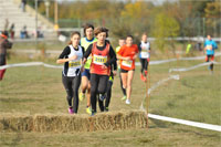 Carsocross-0626.jpg
