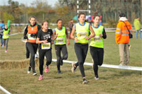 Carsocross-0638.jpg