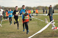 Carsocross-0652.jpg