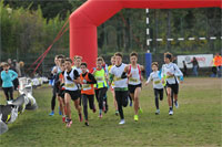 Carsocross-0660.jpg