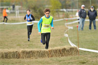 Carsocross-0694.jpg